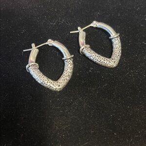 Elegant Silver Hoop Earrings